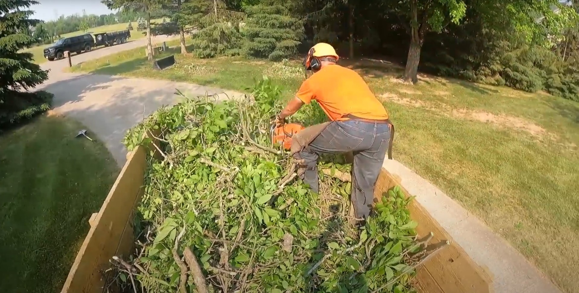 Landscape Maintenance - Professional brush cutting and vegetation management services Tree service professional using chainsaw to cut brush and vegetation in residential landscape maintenance
