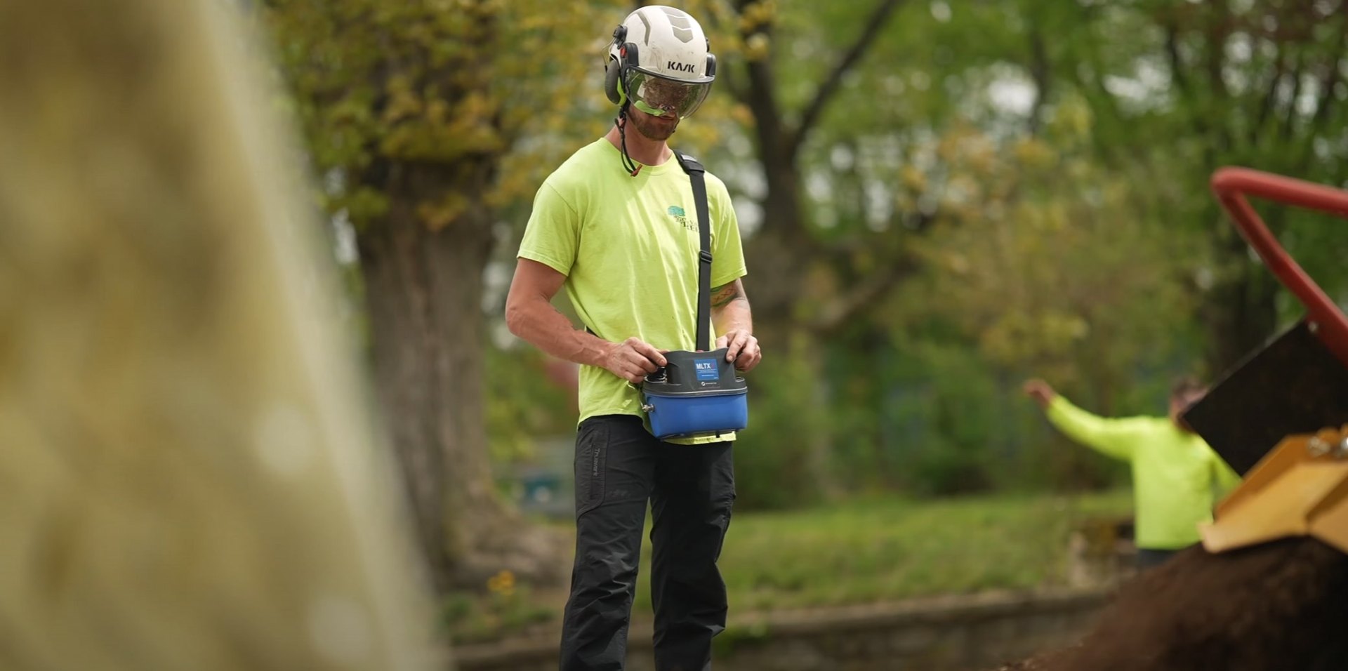 Tree Health Assessment - Certified arborist using professional equipment for comprehensive tree evaluation Professional arborist in safety gear using specialized tree assessment equipment in residential setting