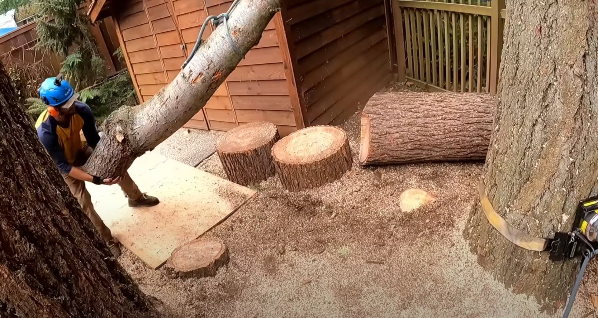 Complete Tree Removal Service - Professional tree cutting and sectioning with thorough cleanup Tree removal aftermath showing cut logs and wood sections in residential yard with professional cleanup
